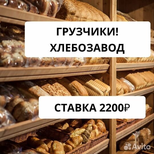 Фасовщик/Грузчик с ежедневными выплатами