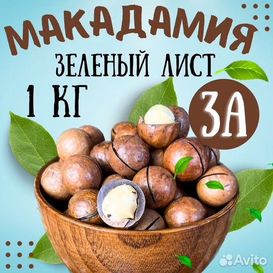 Макадамия высший сорт зеленый лист Орех Макадамия