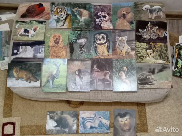 Открытки СССР