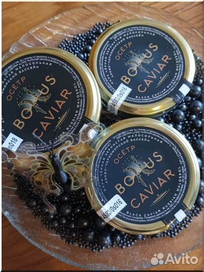 Mалоcол чepная икра