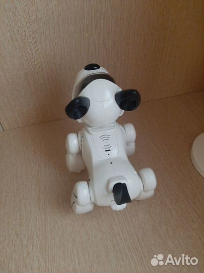 Собака робот