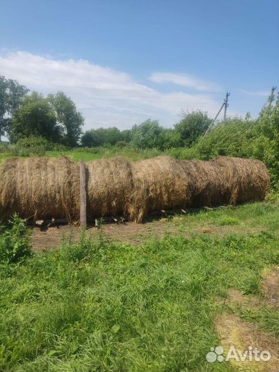 Сено в тюках