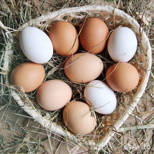 Мясо бройлеров домашнее