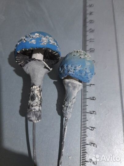 Грибы керамика ручная работа в цветочный горшок