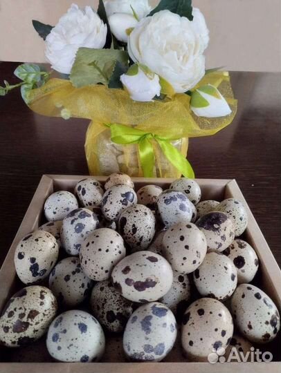 Перепелиное мясо и яйца