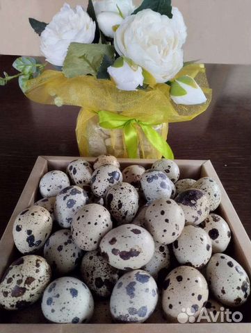 Перепелиное мясо и яйца