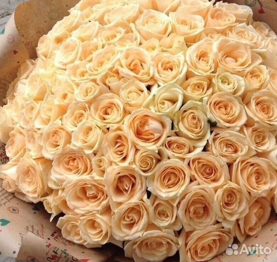 Розы Тюльпаны Пионы Доставка