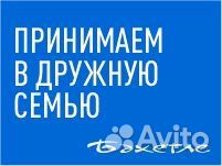 Грузчик