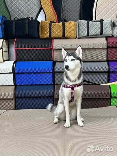 Лежанка для собак