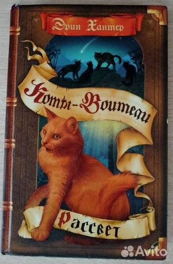 Коты воители Рассвет