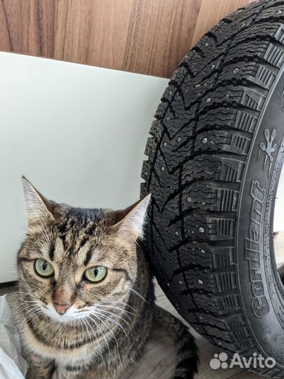 Cordiant Snow Cross 2 185/65 R15