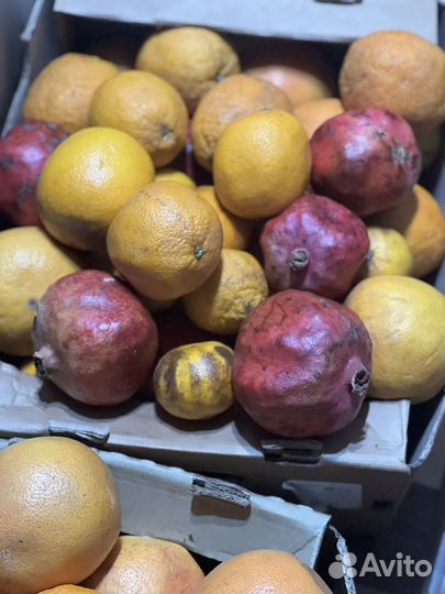 Овощи фрукты