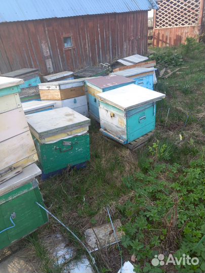 Улей для пчел бу