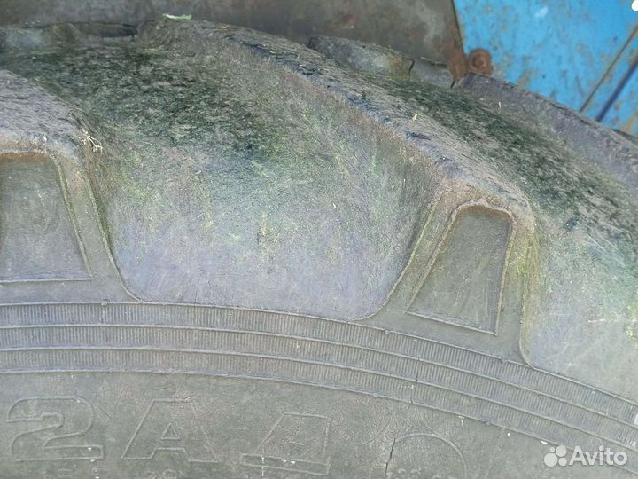 Шины на мтз