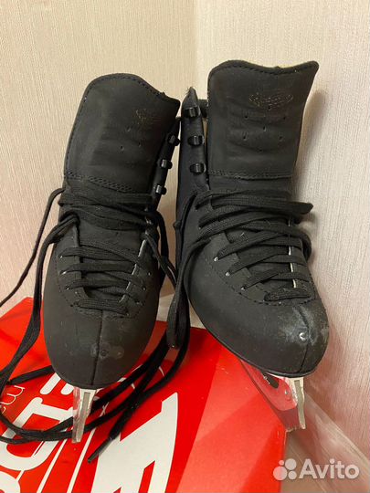 Фигурные коньки Edea Chorus