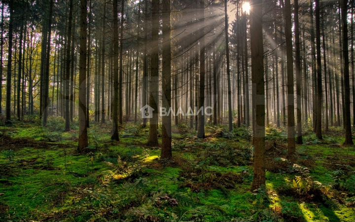 Участок 17,7 сот. (ИЖС)