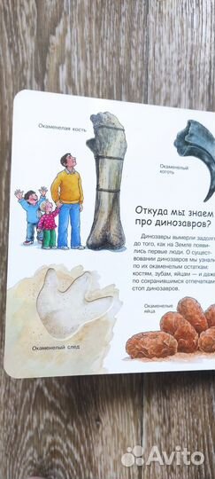 Детские книги с окошками