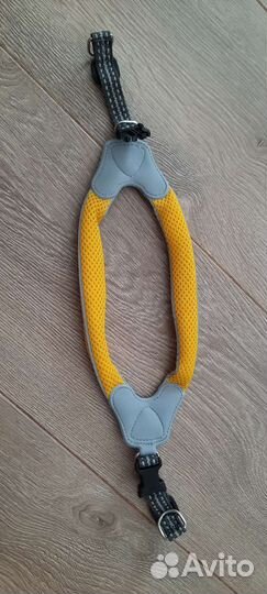 Шлейка, комбез, сапоги, лотки для малой собачки