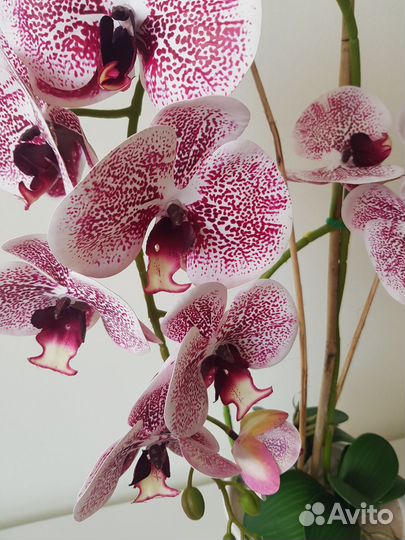 Искусственные цветы в горшке.Орхидея Замиокулькас