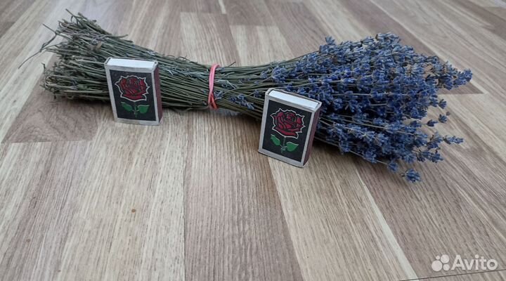 Лаванда сухоцвет