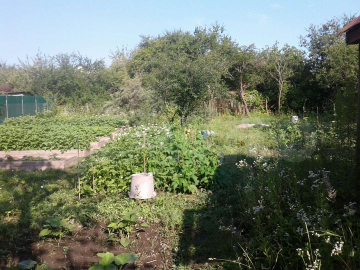 Дача 10 м² на участке 5,9 сот.