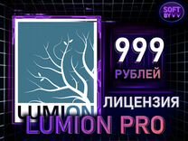 Lumion Pro EDU 2023/24 лицензия бессрочная