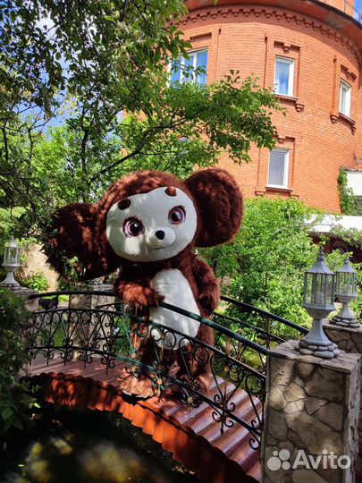 Экспресс поздравление от Мишек, Чебурашки и Кота