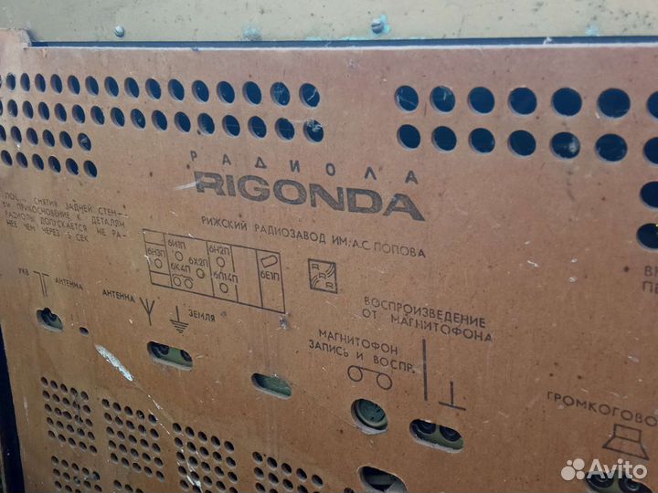 Радиола ригонда