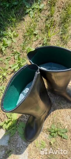 Сапоги для конного спорта