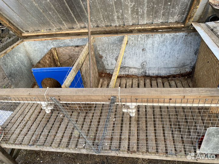 Клетки для кроликов б/у