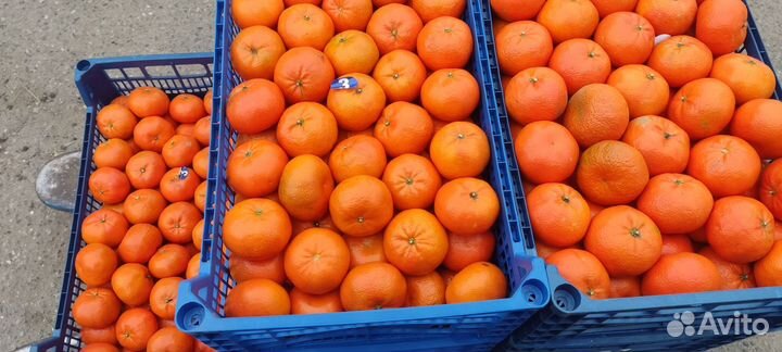 Овощи и фрукты оптом