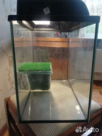 Аквариум для черепах