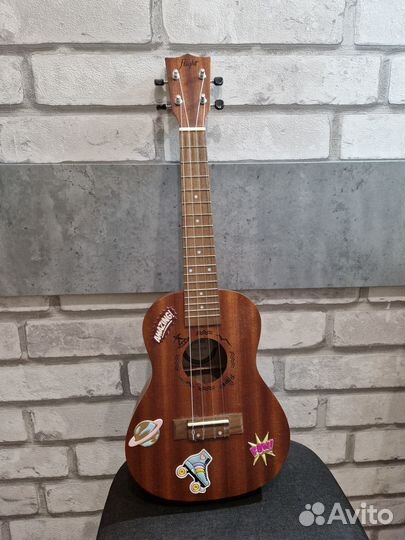 Flight NUC 310 Укулеле концерт серия Q3