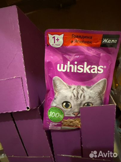 Корм для кошек паучи