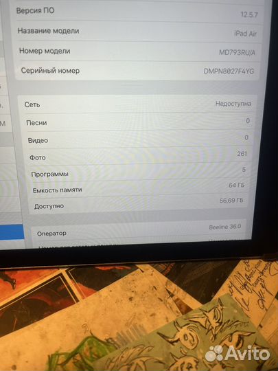 iPad Air (Wi-Fi +Cellular)