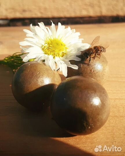 Прополис пчелиный