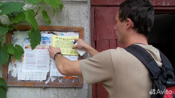 Расклейщик объявлений, г. Серпухов+регионы