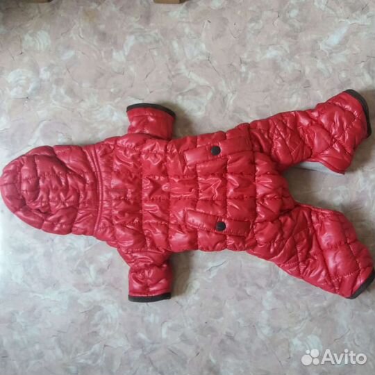 Комбинезон для собаки