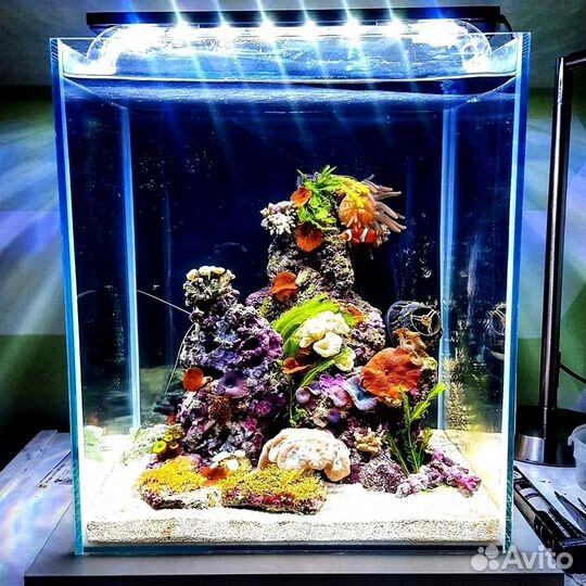 Морской Аквариум / Коралловый Риф