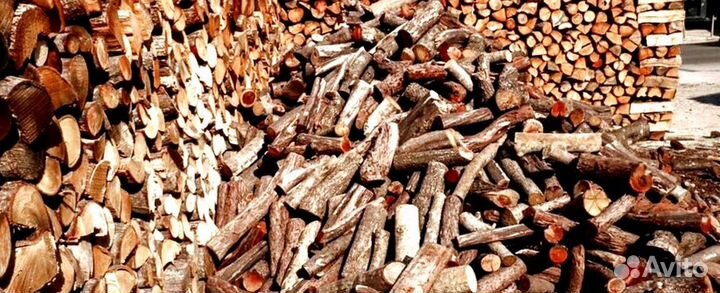 Дрова с Приморска