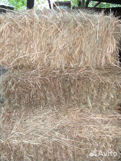 Сено луговое в рулонах