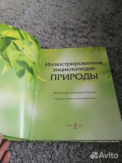 Энциклопедия новая