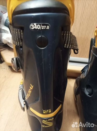 Горнолыжные ботинки