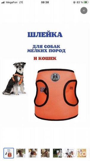 Шлейка для маленькой собаки