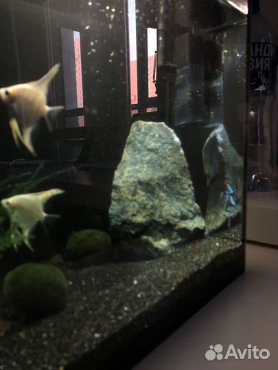 Аквариум с рыбками