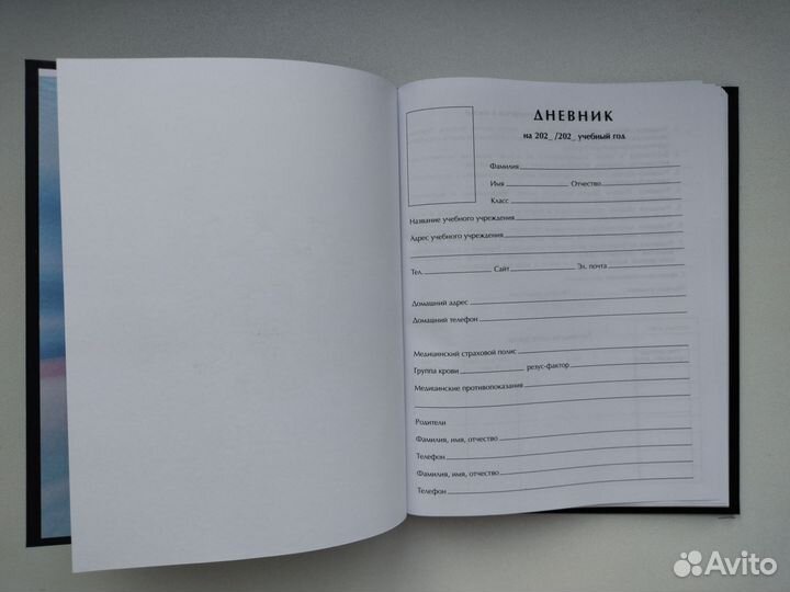 Дневник школьный