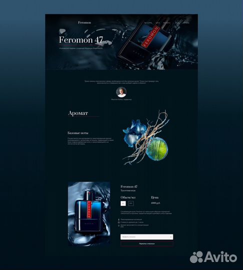 Создание сайтов для бизнеса/ веб - дизайнер/Tilda