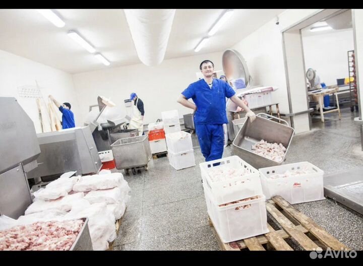 Рабочий в мясной цех