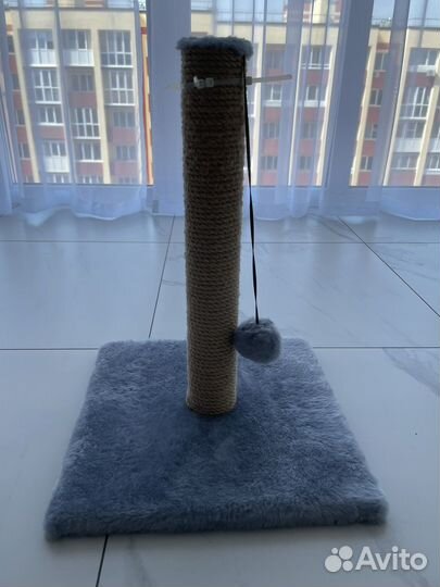 Когтеточка