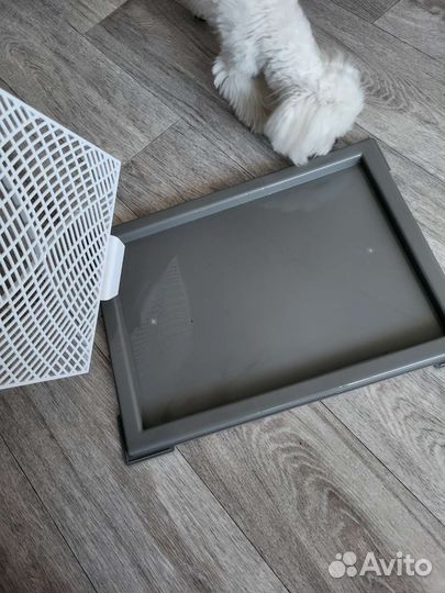 Лоток для собак под пеленку